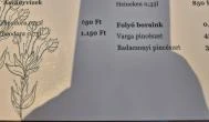 Fényes Vendéglő, Beled