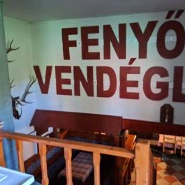 Fenyő Vendéglő Budaörs - Egyéb
