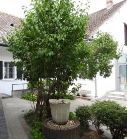 Kovács Margit Kerámiamúzeum Ferenczy Múzeumi Centrum