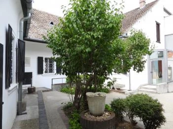 Kovács Margit Kerámiamúzeum Ferenczy Múzeumi Centrum Szentendre