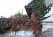 Ferenczy Múzeumi Centrum - Vajda Múzeum Szentendre