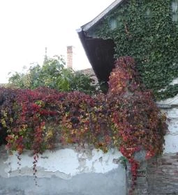 Ferenczy Múzeumi Centrum - Vajda Múzeum