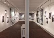 Ferenczy Múzeumi Centrum - Vajda Múzeum Szentendre