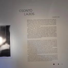 Ferenczy Múzeumi Centrum - Vajda Múzeum, Szentendre - Egyéb