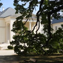 Festetics-kastély, Dég - Külső kép