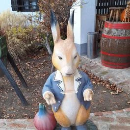 Fészek Csárda Páty - Egyéb