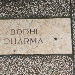 Filozófusok kertje Budapest - Egyéb