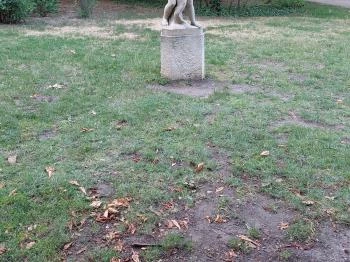 Fiú hallal Budapest