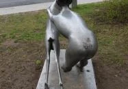 Fiú kecskével Veszprém