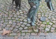 Fiú kutyával Szolnok