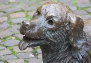 Fiú kutyával Szolnok