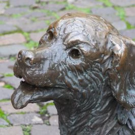 Fiú kutyával Szolnok - Egyéb