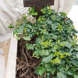 Fiumei úti Sírkert Budapest - Belső