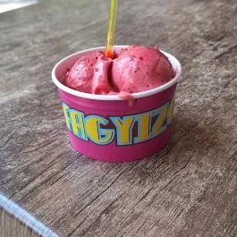 Fodor Fagyizó Nagykőrös - Egyéb