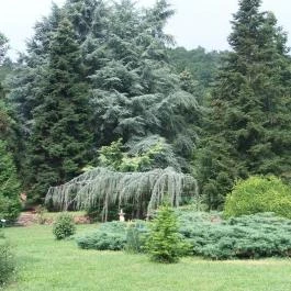Folly Arborétum, Badacsonyörs - 
