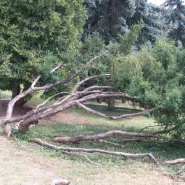 Folly Arborétum, Badacsonyörs - 