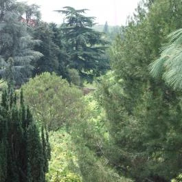 Folly Arborétum, Badacsonyörs - 