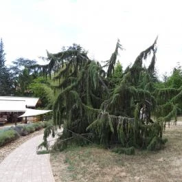 Folly Arborétum, Badacsonyörs - Külső kép