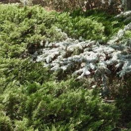 Folly Arborétum, Badacsonyörs - Külső kép