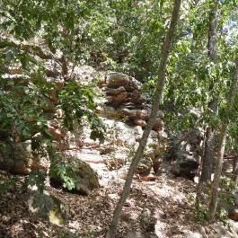 Folly Arborétum, Badacsonyörs - Egyéb