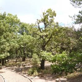 Folly Arborétum, Badacsonyörs - Külső kép