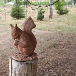 Folly Arborétum, Badacsonyörs - Egyéb