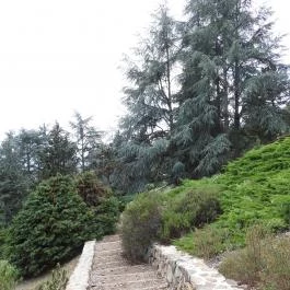 Folly Arborétum, Badacsonyörs - Külső kép