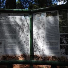 Folly Arborétum, Badacsonyörs - Külső kép