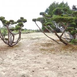 Folly Arborétum, Badacsonyörs - Külső kép