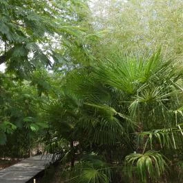 Folly Arborétum, Badacsonyörs - Egyéb