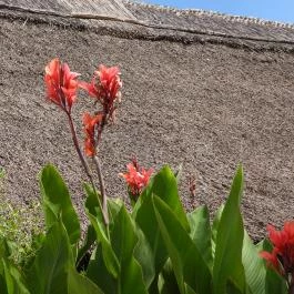 Folly Arborétum, Badacsonyörs - Egyéb