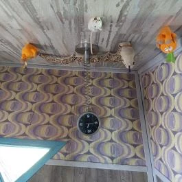 Fordított ház Hajdúszoboszló - Egyéb