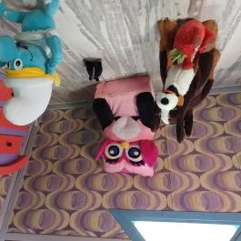 Fordított ház Hajdúszoboszló - Egyéb