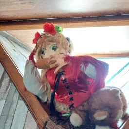 Fordított ház Hajdúszoboszló - Egyéb