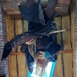 Fordított ház Hajdúszoboszló - Egyéb