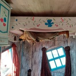 Fordított ház Hajdúszoboszló - Egyéb