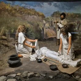 Forgách-kastély Szécsény - Egyéb