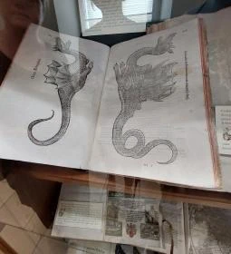 Főszékesegyházi Könyvtár