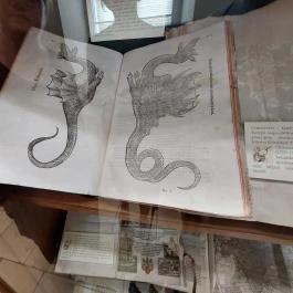 Főszékesegyházi Könyvtár, Kalocsa - Egyéb