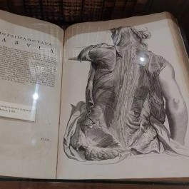 Főszékesegyházi Könyvtár, Kalocsa - Egyéb