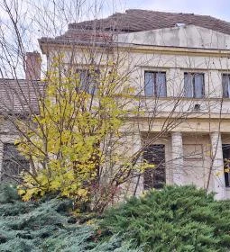 Fould-Springer-Wooster kastély