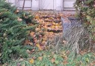 Fould-Springer-Wooster kastély Pusztaszabolcs