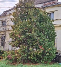 Fould-Springer-Wooster kastély