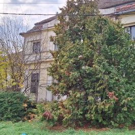 Fould-Springer-Wooster kastély Pusztaszabolcs - Külső kép