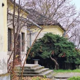 Fould-Springer-Wooster kastély Pusztaszabolcs - Külső kép