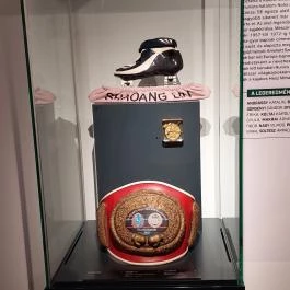 Fradi Múzeum Budapest - Egyéb