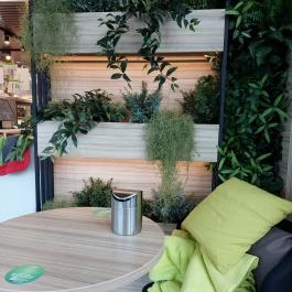 Fresh Corner Leányfalu - Belső