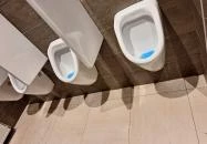 Fresh Corner - Ercsi Ercsi