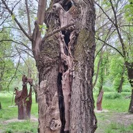 Fülei Szoborpark Füle - Egyéb