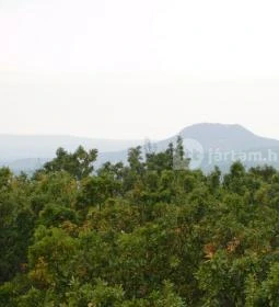 Fülöp-hegyi kilátó